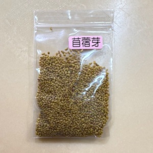 【農創家電商】【 YoGo有夠菜】種子-苜蓿芽5克*10包
